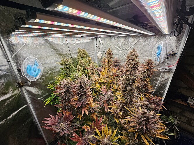 Growreport Bild 14