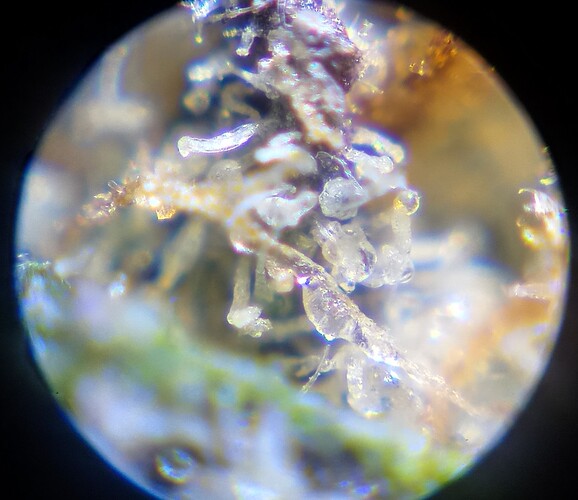 Growreport Bild 10