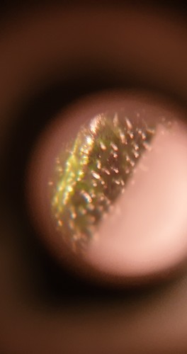 Growreport Bild 5
