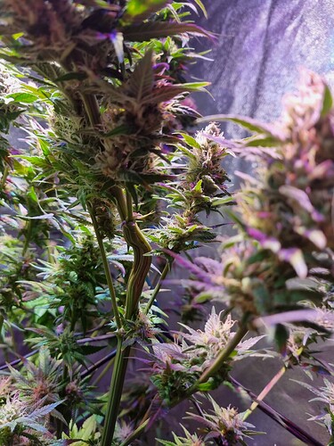 Growreport Bild 22