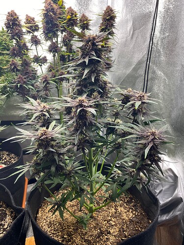 Growreport Bild 10