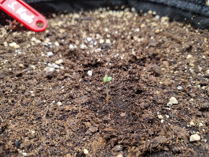 Growreport Bild 22