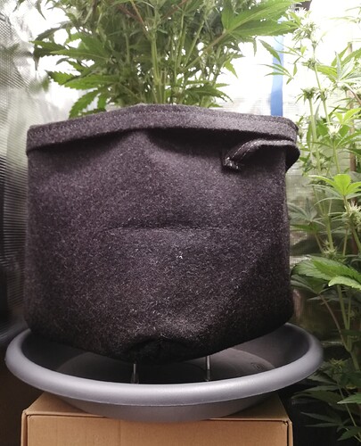 Growreport Bild 20