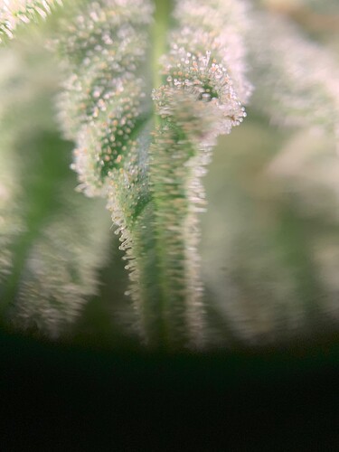 Growreport Bild 16