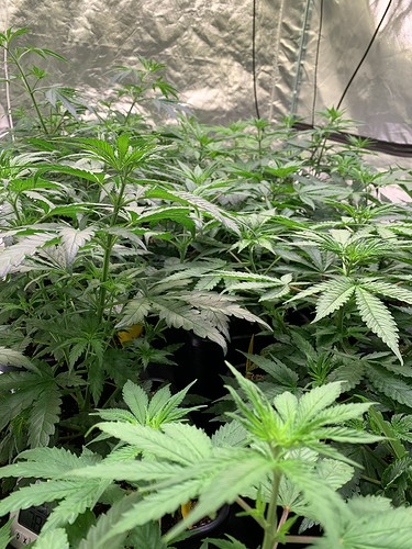 Growreport Bild 2