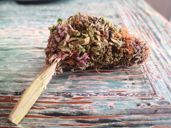 Growreport Bild 9