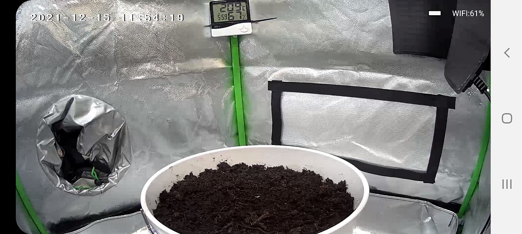 Mein erster Grow Start 11.12