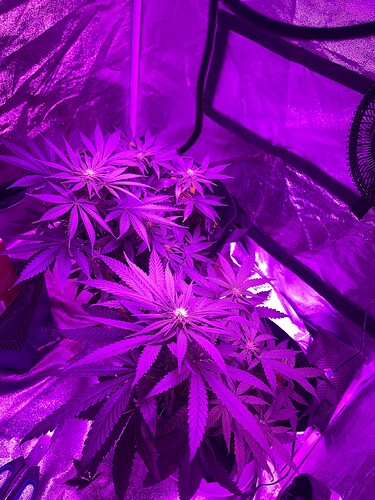 Growreport Bild 2