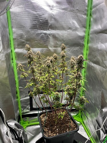 Growreport Bild 18