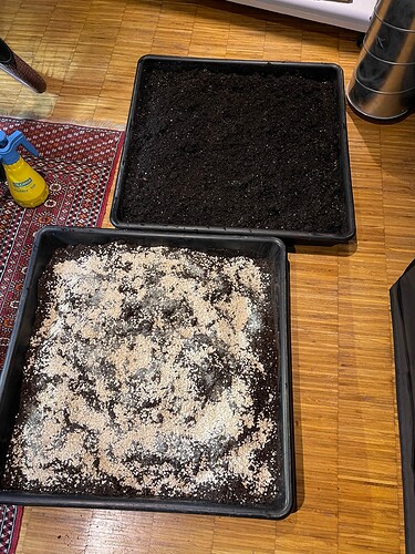 Growreport Bild 3
