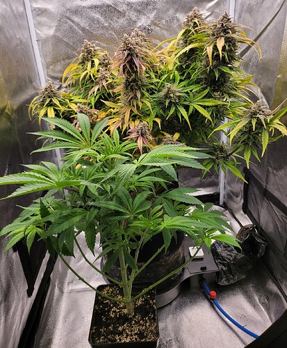 Growreport Bild 4