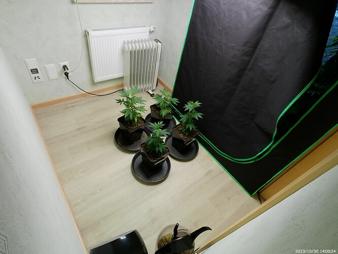 Growreport Bild 2