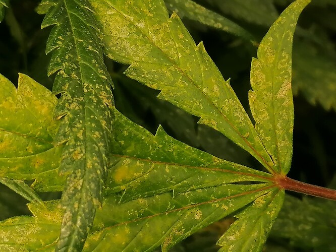 Growreport Bild 2