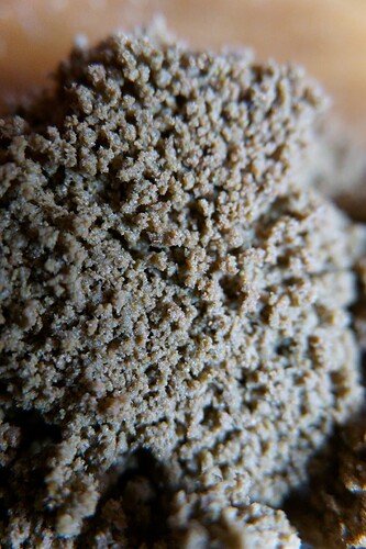 Growreport Bild 4