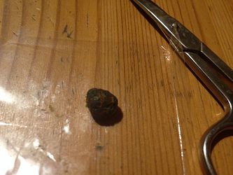 Growreport Bild 1