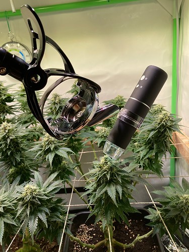 Growreport Bild 9