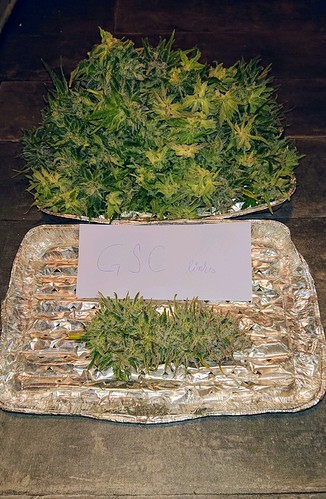 Growreport Bild 12