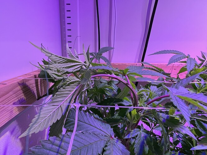 Growreport Bild 14