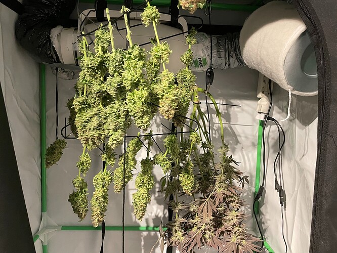 Growreport Bild 12