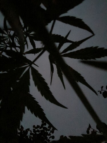 Growreport Bild 12