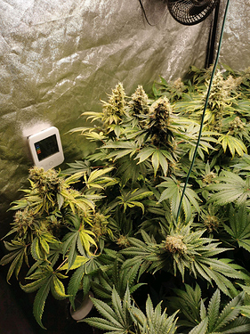 Growreport Bild 3