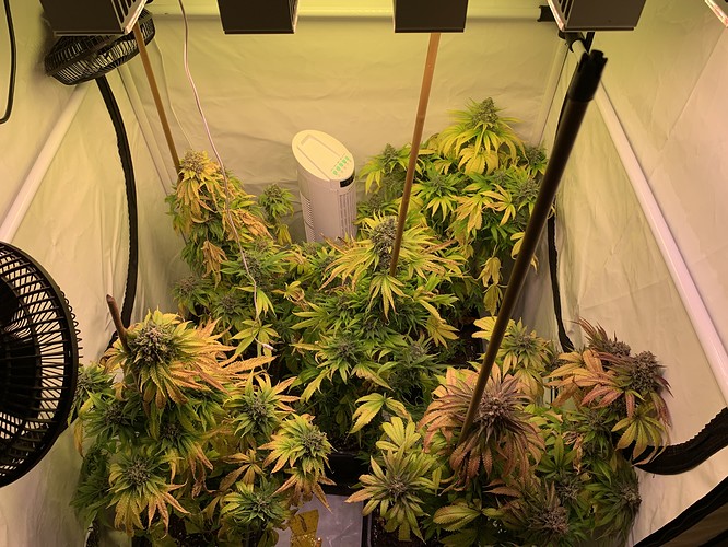 Growreport Bild 3
