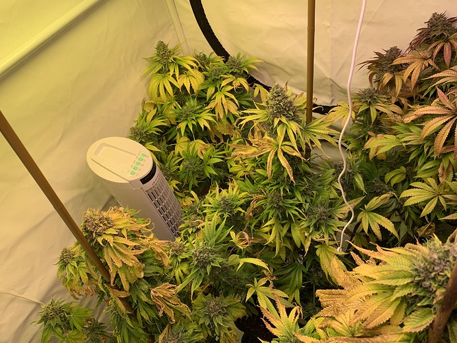 Growreport Bild 2