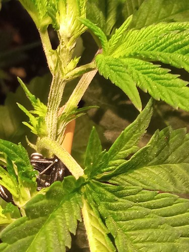 Growreport Bild 21