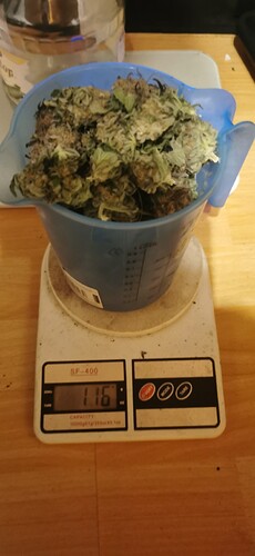Growreport Bild 13