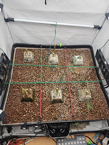 Growreport Bild 3