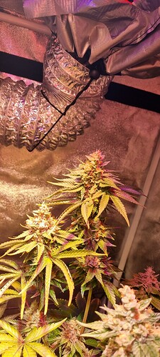 Growreport Bild 18