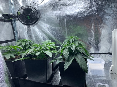 Growreport Bild 14