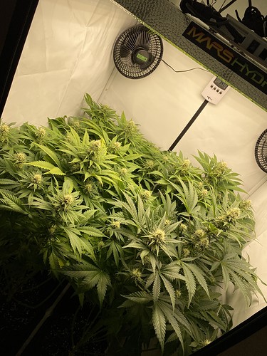Growreport Bild 5