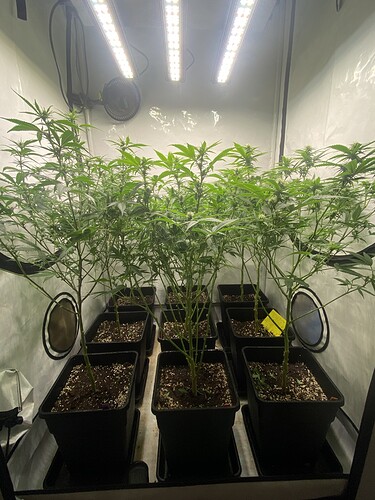 Growreport Bild 5