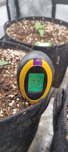 Growreport Bild 18