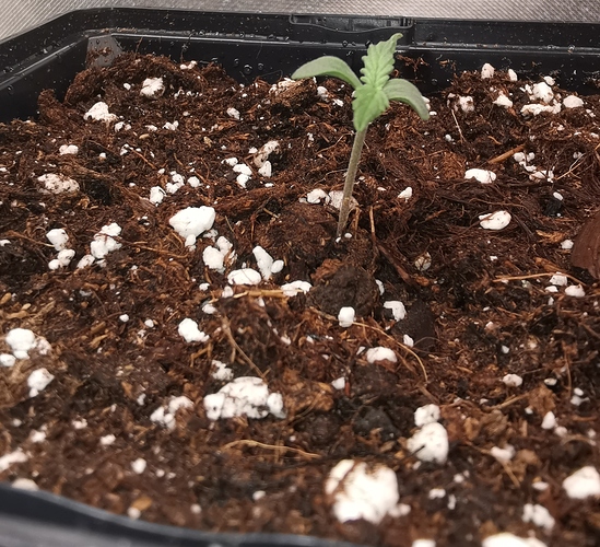 Growreport Bild 16