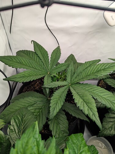 PXL_20231124_140430421