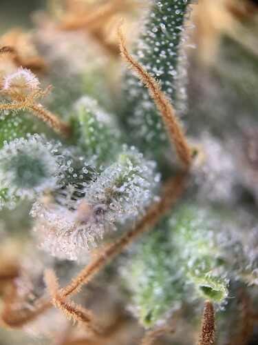 Growreport Bild 16