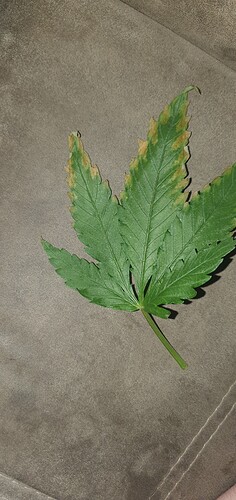 Growreport Bild 11