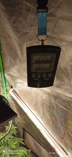 IMG-20231001-WA0012
