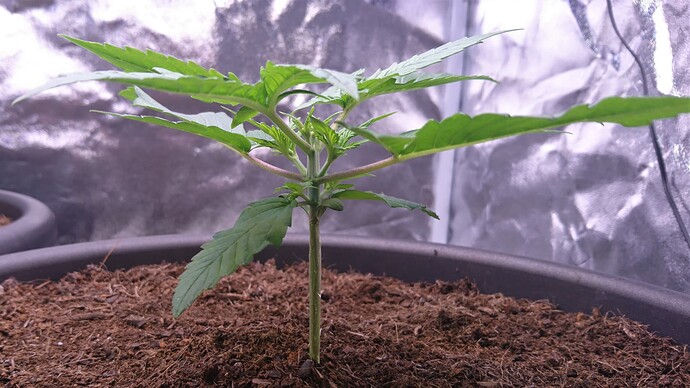 Growreport Bild 5