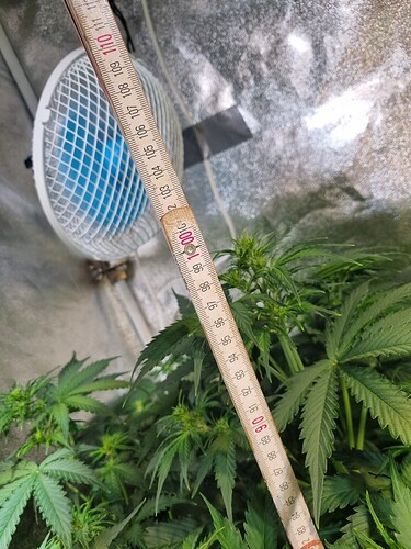Growreport Bild 8