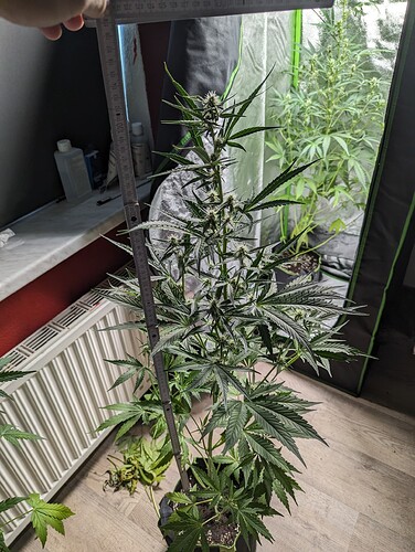 PXL_20230820_125803829