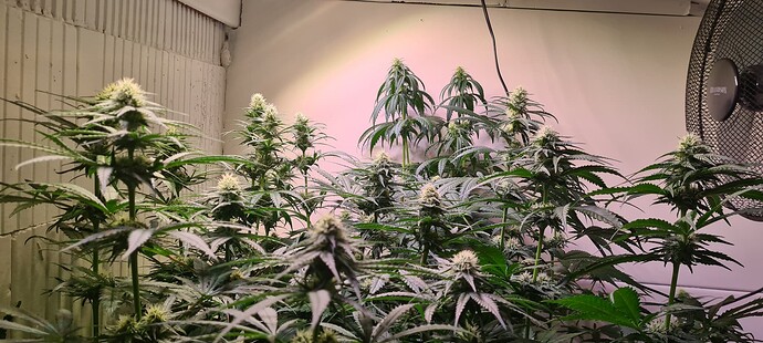 Growreport Bild 13