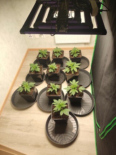 Growreport Bild 30
