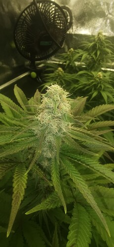 Growreport Bild 2