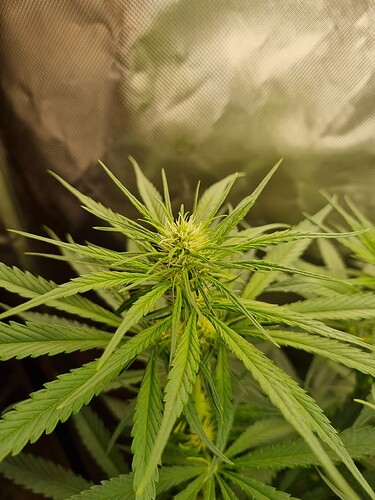 Growreport Bild 15