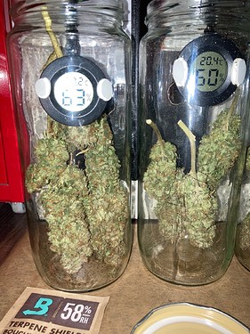 Growreport Bild 5