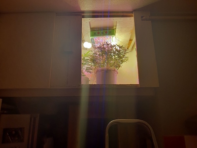 Growreport Bild 12