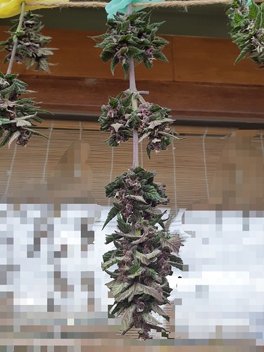 Growreport Bild 10